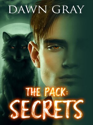 cover image of Secrets